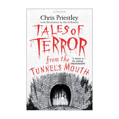 英文原版 Tales of Terror from the Tunnel's Mouth 隧道之口恐怖故事集 Chris Priestley少儿恐怖故事系列 进口英语原版书籍