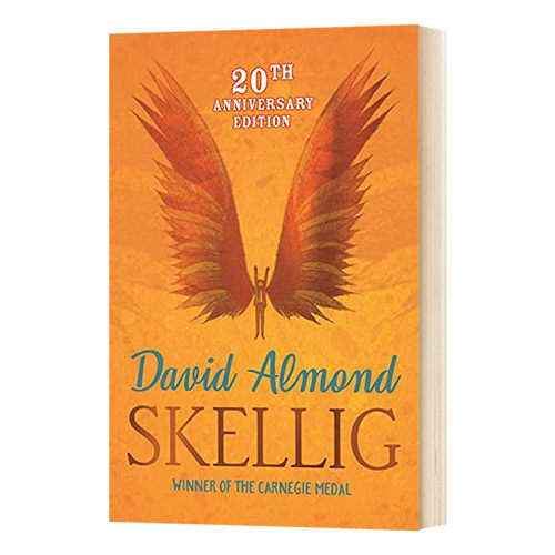 Skellig 当天使坠落人间 2000普林兹银奖进口原版英文书籍