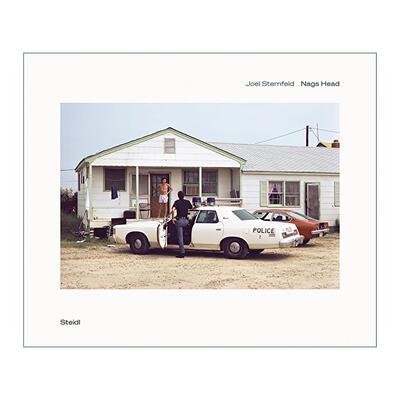 英文原版 Joel Sternfeld Nags Head 乔·斯坦菲尔德 纳格斯黑德 人文景观摄影集精装 英文版 进口英语原版书籍