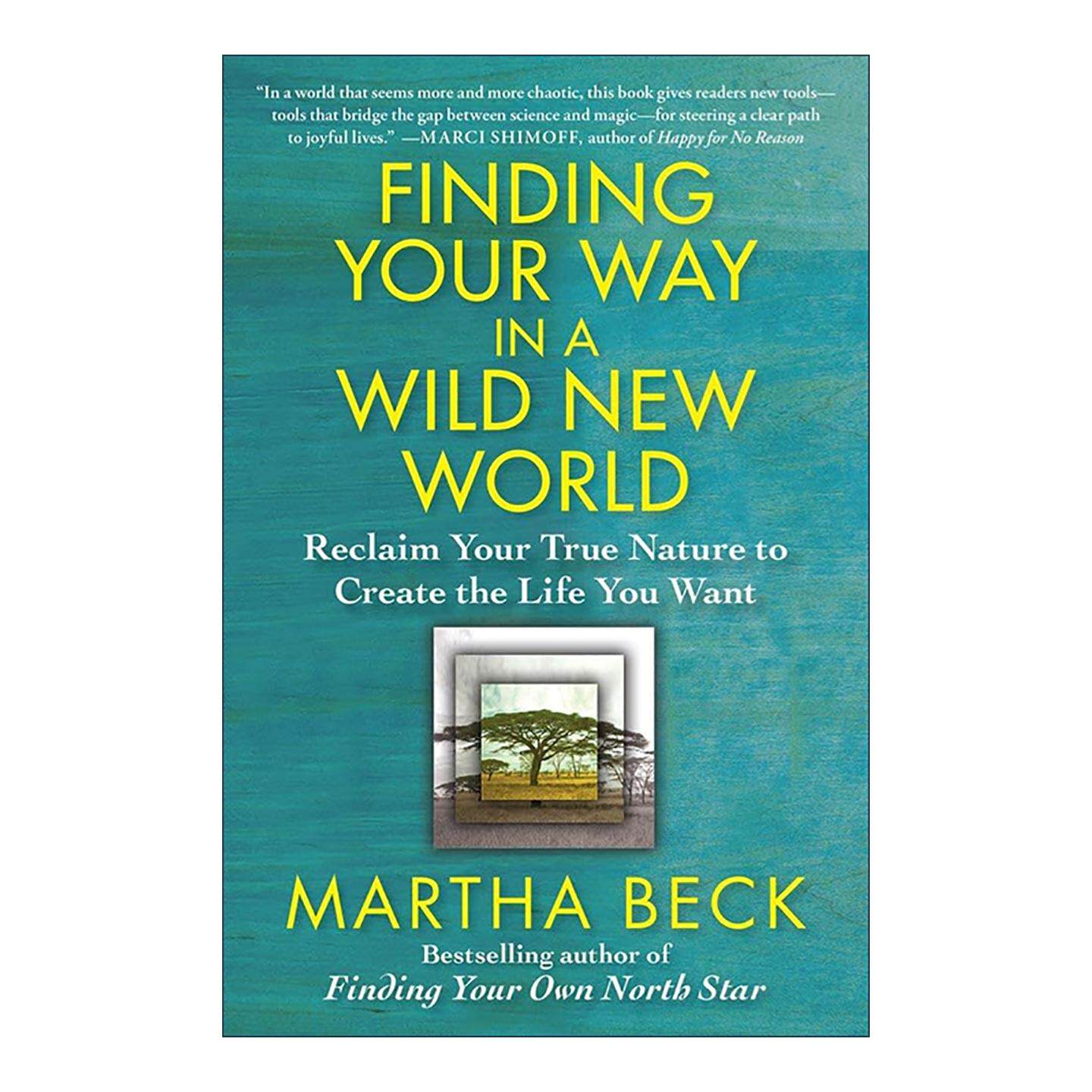 英文原版 Finding Your Way in a Wild New World 在狂野新世界中找到你的道路 英文版 进口英语原版书籍