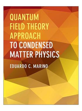 英文原版 Quantum Field Theory Approach to Condensed Matter Physics 量子场论方法在凝聚态物理中的应用 进口英语原版书籍
