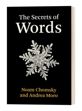 The Secrets of Words 语言的秘密 Noam Chomsky诺姆·乔姆斯基 精装进口原版英文书籍