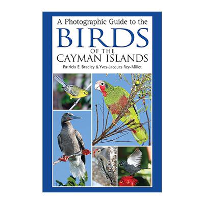 英文原版 A Photographic Guide to the Birds of the Cayman Islands 开曼群岛鸟类品种习性图鉴指南 英文版 进口英语原版书籍