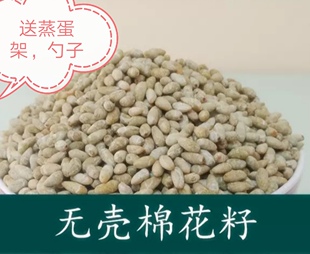 新棉仁熟棉花籽棉籽仁棉籽棉仁棉花种子去壳