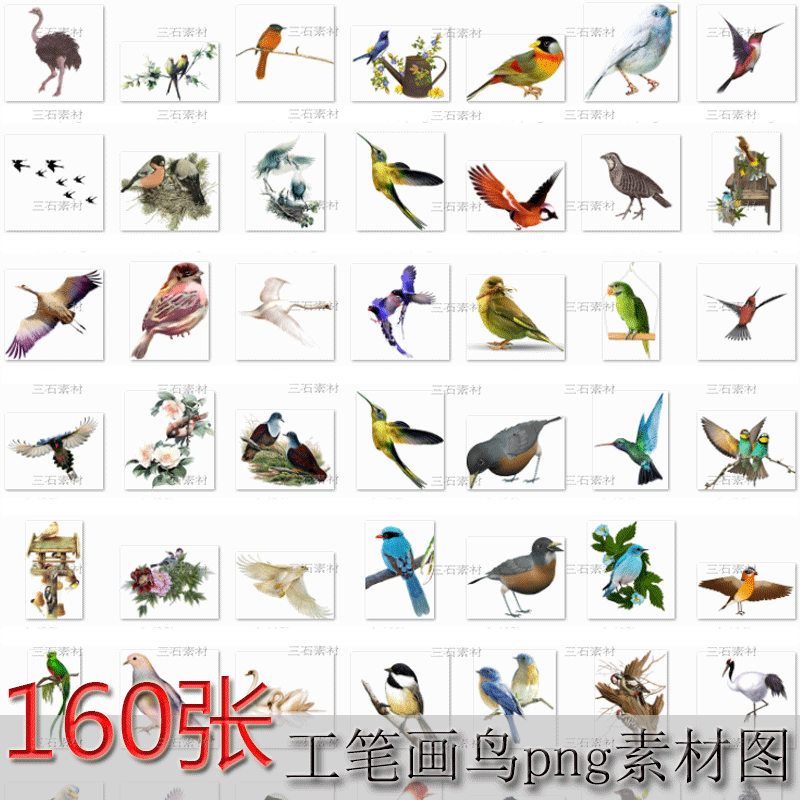 工笔画鸟png图片动物鸟飞禽免抠透明素材图ps美工后期设计拼接图