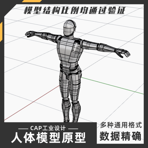 假人人体比例原型参考模型 犀牛结构建模Rhino proE C4D max 素材