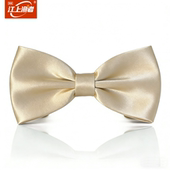 bow 职业舞台大合唱男女浅金色驼色黄色衬衫 蝴蝶结煲呔领结 tie