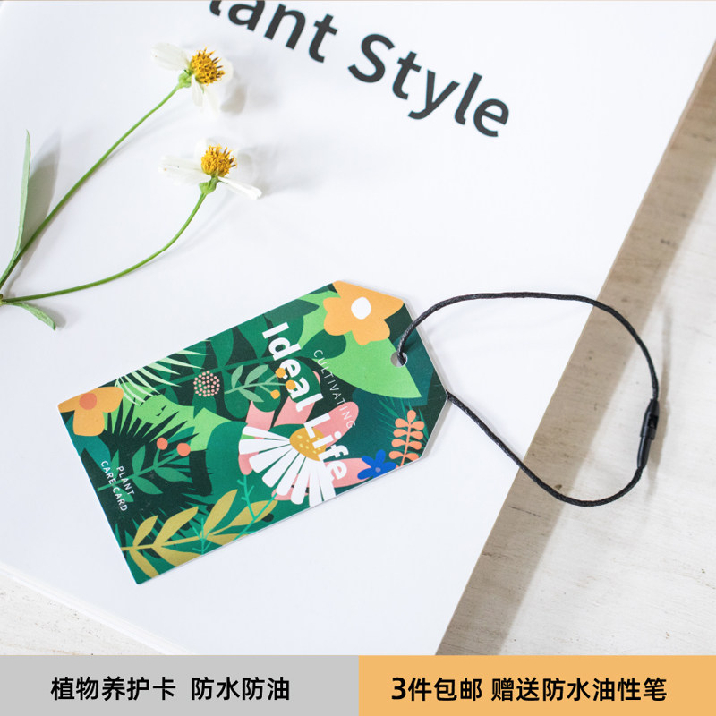 研仓制花店绿植店防水原创定制款花束植物养护卡片吊牌标价价格牌