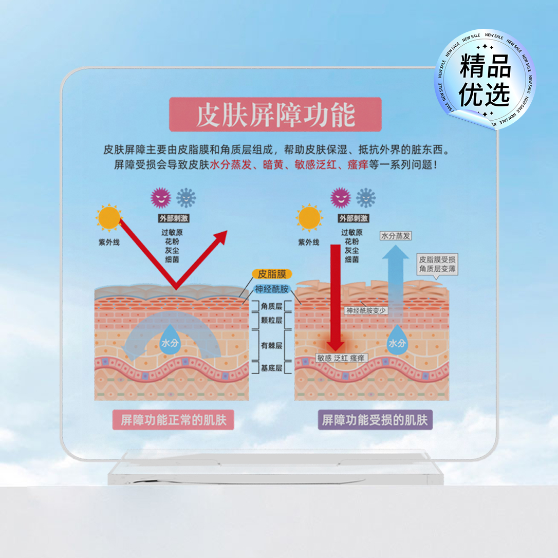 高颜值diy皮肤管理美容院摆件皮肤屏障功能肌肤表皮结构代谢周期