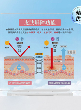 高颜值diy皮肤管理美容院摆件皮肤屏障功能肌肤表皮结构代谢周期