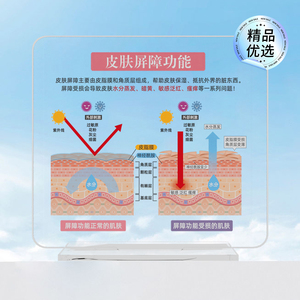 高颜值diy皮肤管理美容院摆件皮肤屏障功能肌肤表皮结构代谢周期