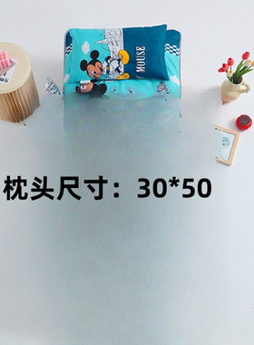 全棉卡通儿童枕头纯棉午睡枕套3-5-6岁孩子睡枕幼儿园专用30*50cm