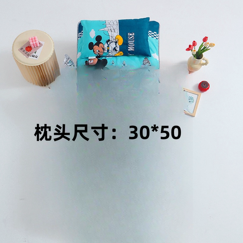 全棉卡通儿童枕头纯棉午睡枕套3-5-6岁孩子睡枕幼儿园专用30*50cm