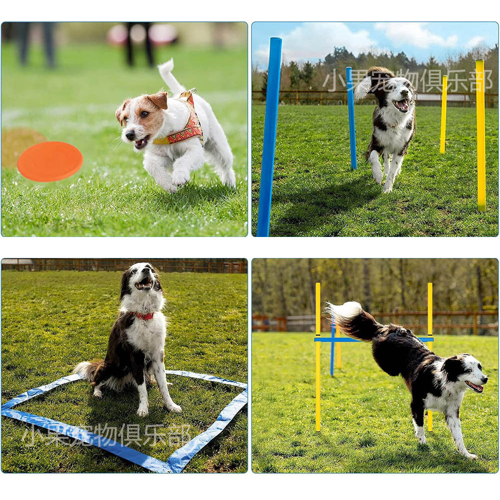 犬敏捷训练器材定制狗狗室内室外