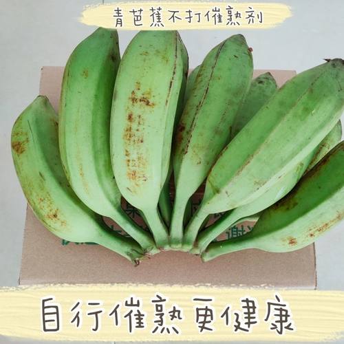 广东芭蕉大蕉无催熟剂新鲜高蕉