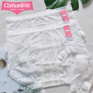 三条装彩田女士内裤高腰蕾丝印花16201莱赛尔透气轻薄速干抑菌