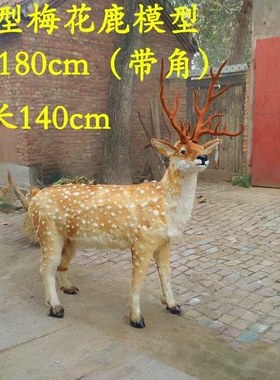 仿真梅花鹿模型皮毛动物摆件展示玩具标本橱窗装饰品梅花鹿标本