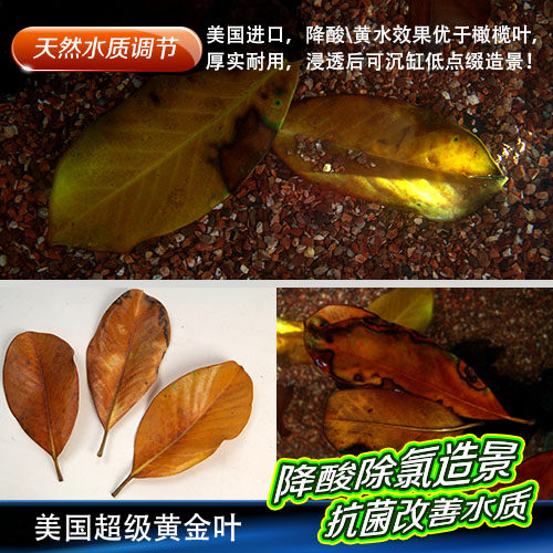 Olive Leaf Lazy man adjust PH Terminalia leaf natural Antibacterial Improve soften Water Quality fish tank Landscapingin the Pet/Pet food and supplies , Aqua World , PH Regulator category - from Buy2taobao.com to provide professional Taobao agent buy service