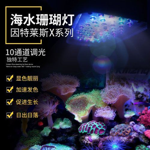 智控海洋X240海水珊瑚灯