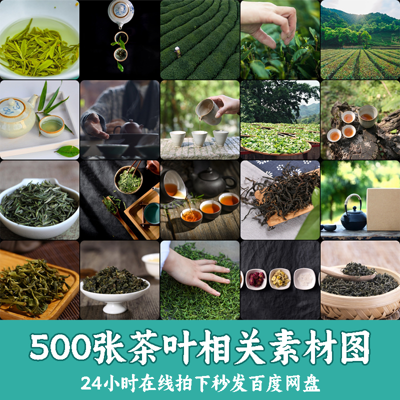 A1下单秒发茶叶相关高清照片图片素材茶叶泡茶茶山JPG设计素材