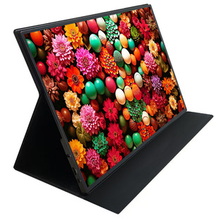 17/17.3/18/18.5/19寸便携式显示器显示屏皮套支架保护套保护壳