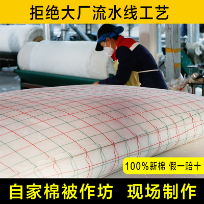 定做100%新疆棉花被芯全棉被子冬季保暖加厚铺垫榻榻米床垫被棉絮