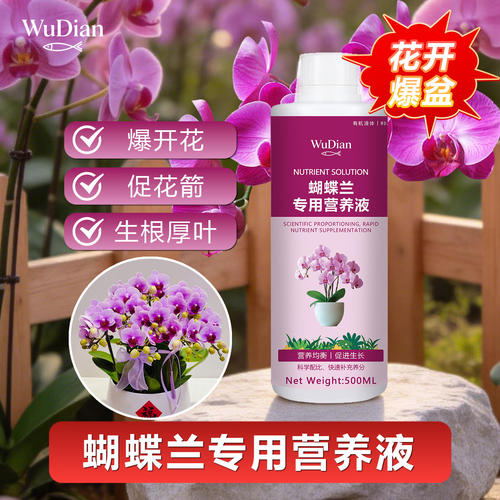 蝴蝶兰专用营养液肥料促花箭开花肥促花剑水培花期专用肥盆栽肥料