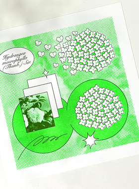 mohodo美好多原创插画绣球花Riso植物艺术绿色装饰画挂画