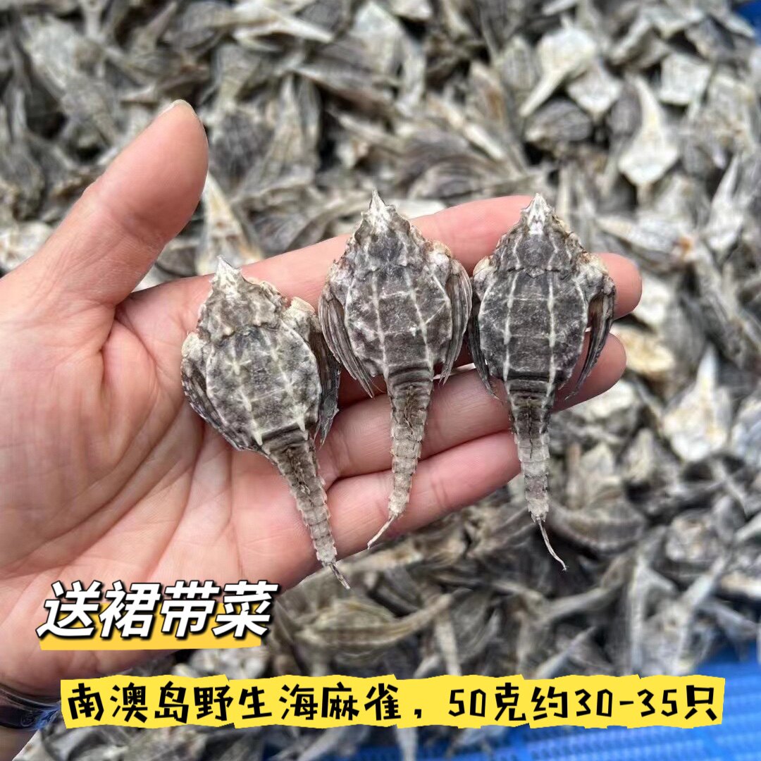 南澳岛渔民自晒淡干海麻雀海燕子干货长身尖头泡酒料炖汤煲汤滋补