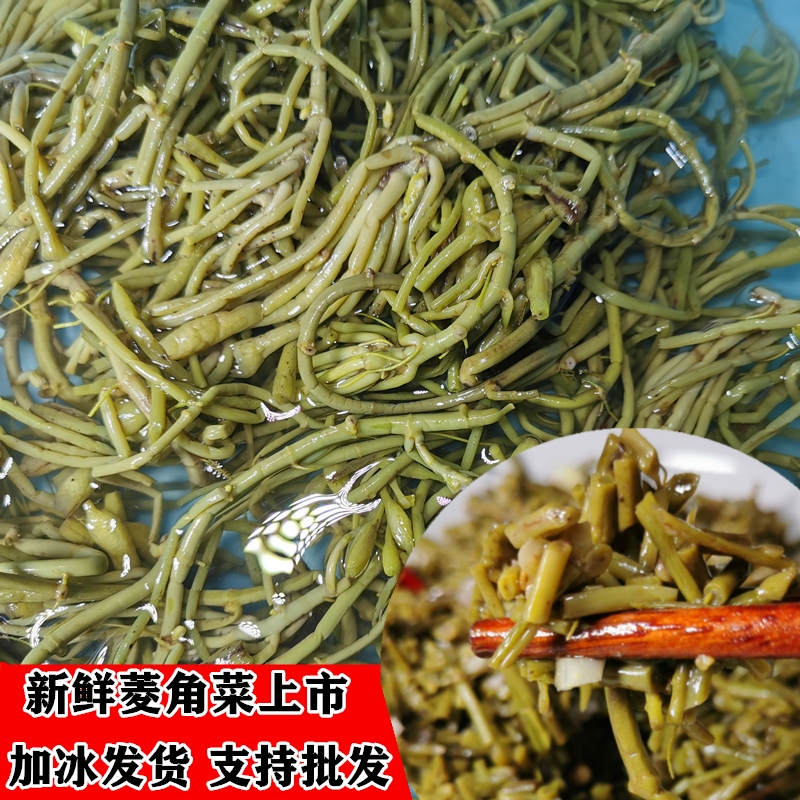 安徽无为特产野生菱角菜新鲜采摘水生菱角菜蔬菜菱角藤子4斤包邮