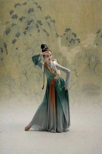 高端汉唐古典舞演出服大裙摆采菊东篱下舞蹈服飘逸剧目艺考表演服