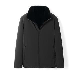 黑色短款立领进口银兰貂水貂整貂内胆貂皮大衣男中老年派克服外套