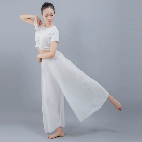 Шифоновая современная спортивная одежда, классические этнические штаны