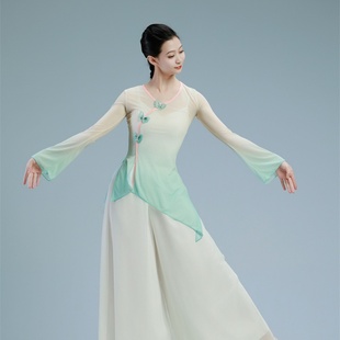 古典舞蹈服身韵纱衣女飘逸上衣练功服艺考基训班民族中国舞演出服