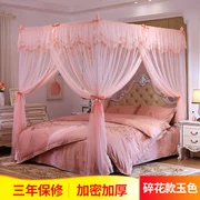 Cung điện Mosquito Net được mã hóa dày Các hộ gia đình ba cửa đứng 1,5m giường 1,8x2,2 2x2,2 mét 1,2 - Lưới chống muỗi