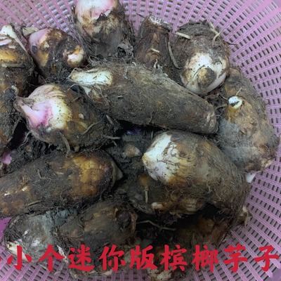 芋头福建小芋头荔浦新鲜