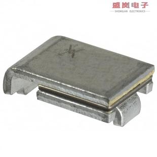 FUSE SMD100F 2SMD 1.1A 30V RESET PTC 正品 原装