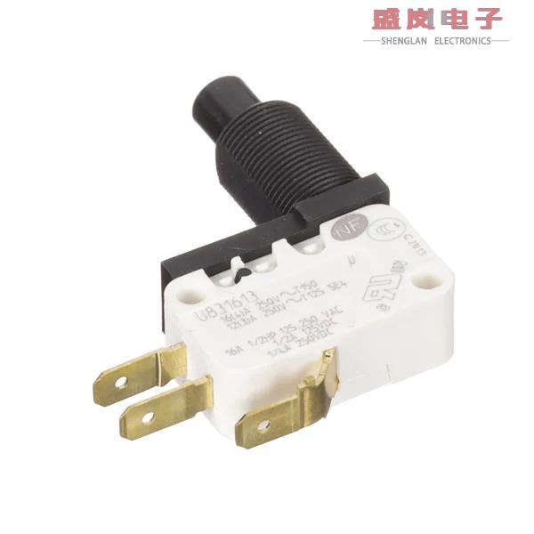 原装正品831613C6.L[基本/快动 SNSW 10.1A 3 16 T