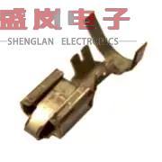 原装正品12066614[汽车 TERM M/P 630 FEM]