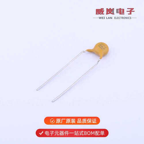 CT7-X5Y5U0D102MSE|CT7-X6Y5P1D471KSEW原装
