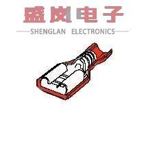 DSC NYL 19003 187X032 FREC 端子 0021 正品 原装