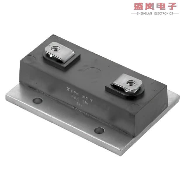 原装正品RPH100V10003KB[SFERNICE FIXED RESISTORS]