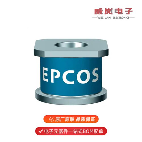 B88069X1640T902|B88069X1913T902|B88069X1743B502原装