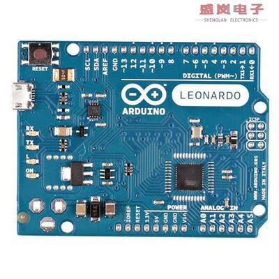 原装正品A000052[LEONARDO W/OUT HDRS]