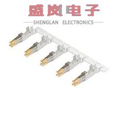 原装正品42815-0032[集管和线壳 SOCKET 8 12+12 AWG R