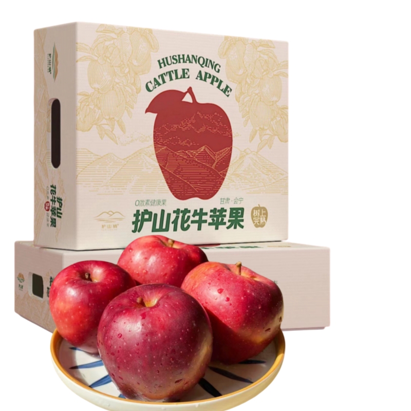 甘肃会宁不拉长的短圆花牛苹果
