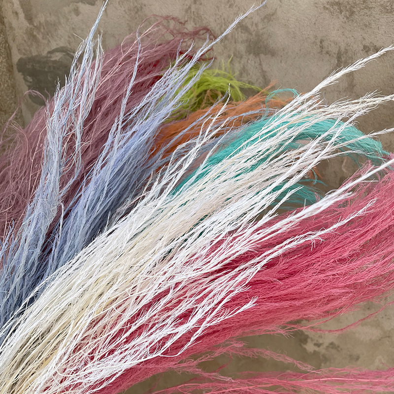 龙须草永生花线条真花材软装陈设