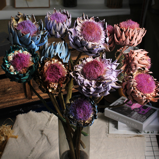 高端干花霸王花帝王真花家居咖啡厅酒店橱窗装饰摆设插花节日礼物