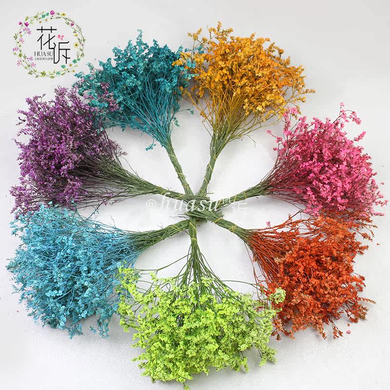 水晶草云南干花水晶花束彩色海星家居办公插花花店花材基地直销