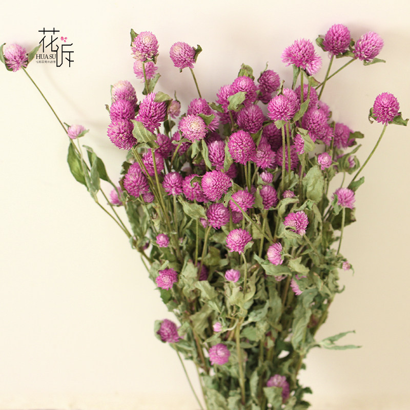 干花千日红昆明斗南基地直发草莓果装饰干花倒挂干花束拍摄道具